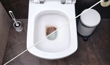 3 dakikada tuvaleti pırıl pırıl yapıyor! Bu yöntem hem pratik hem de kolay...