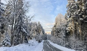 Karadeniz’e Nisan karı: 4 il beyaza büründü #artvin