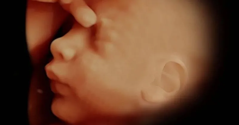 Gebelikte Detayli Ultrason Nasil Yapilir Son Dakika Haberler