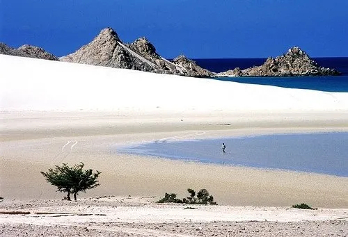 Yeryüzünün gizemli adası; Sokotra