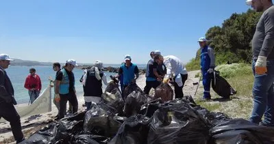 İnanması zor ama bu çöpler ıssız adadan toplandı
