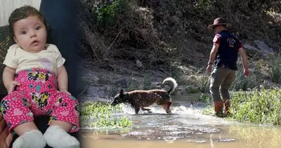 Selde kaybolan Asel bebekten haber var! Özel eğitimli köpekler…