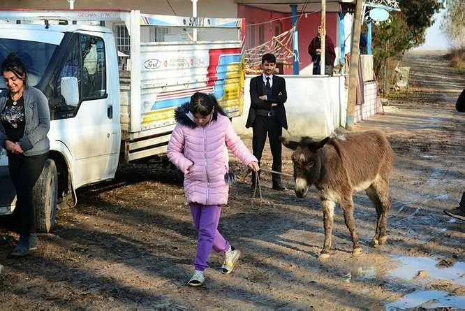 Kahramanmaras Taki Sansli Esek Izmir E Gonderildi Son Dakika Haberler