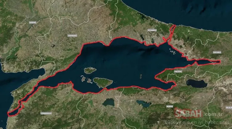 Marmara Denizi ve Adalar’a bakanlık koruması: 37 bilim insanı çalıştı, tek tek tespit edildi