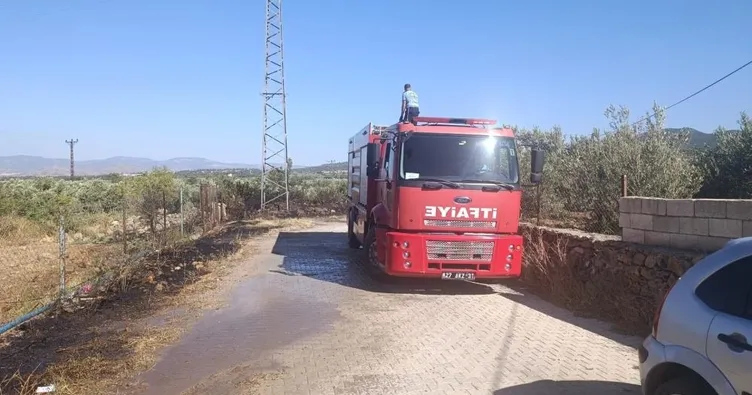 Gaziantep’te zeytinlik alanda çıkan yangın söndürüldü