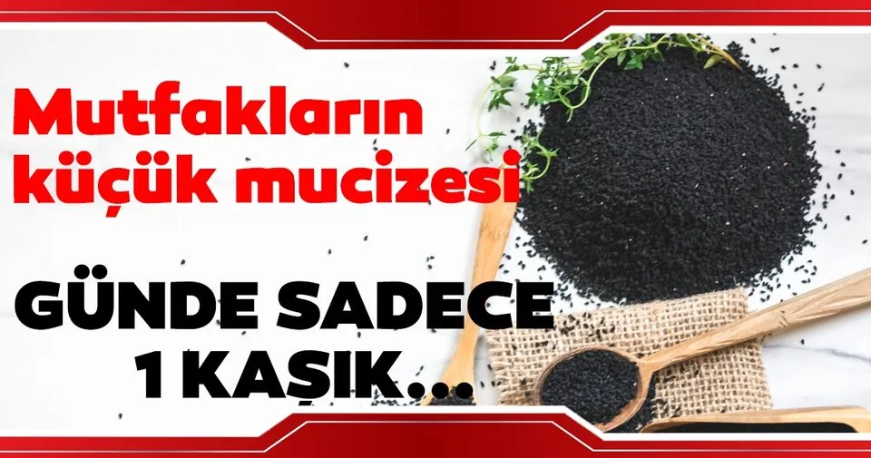 Corek Otunun Faydalari Nelerdir Neye Iyi Gelir Corek Otu Yagi Nasil Kullanilir Zayiflatir Mi Saglik Haberleri