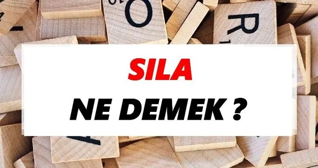 Sıla Ne Demek? TDK’ya Göre Sıla Sözlük Anlamı Nedir?