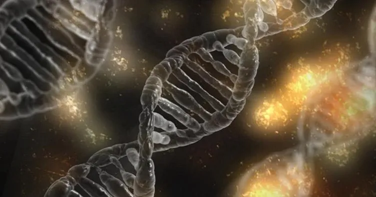 Kanserle ilgili kilit öneme sahip 11 gen keşfedildi