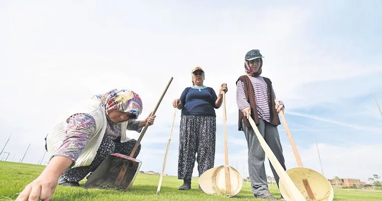 Çimlerin Sultanları