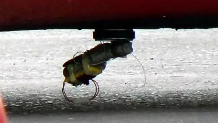 Karısının arabasına bomba koyan cani hakkında cinsel saldırı iddiası: Yeliz’i ormanlık alana götürerek...