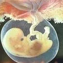 Embriyodan hareketle kalp hücreleri imal edildi