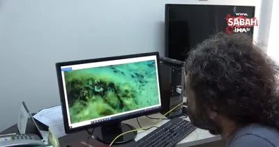 Mersin sahilleri müsilaj tehlikesi altında | Video