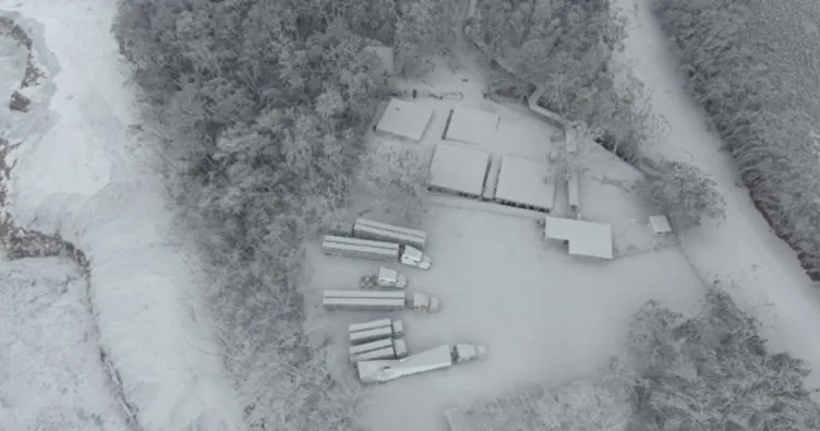 Hawaii’de lavlar 117 evi yok etti