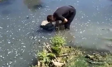 Yer Bolu: Atıklarını dereye boşaltan patates firmasına ceza! #bolu