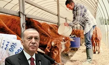 Üreticilere yüzde 70 ek destek! Başkan Erdoğan açıkladı! ’KDV’den muaf...’