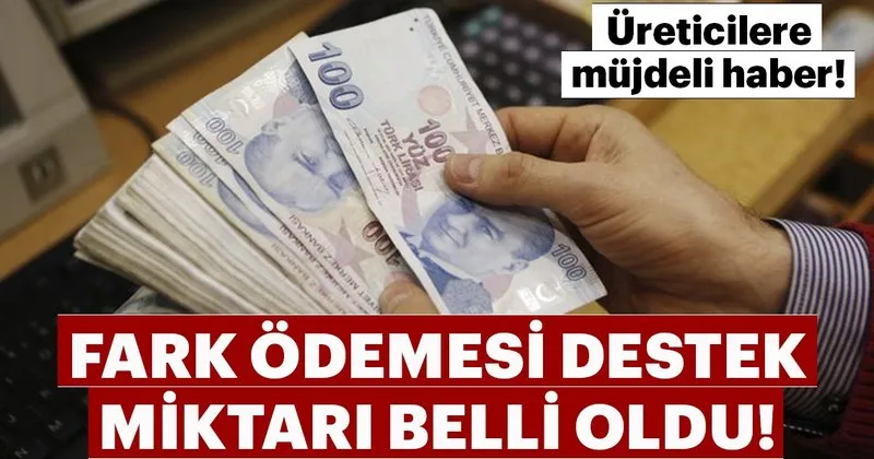 Ureticilere Mujdeli Haber Fark Odemesi Destegi Belli Oldu Son Dakika Haberler