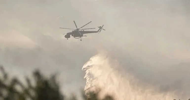 Manisa’da orman yangını!