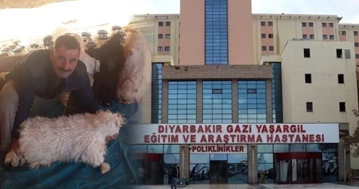 Diyarbakır’da feci olay: Yıldırımın isabet ettiği çobandan acı haber geldi!