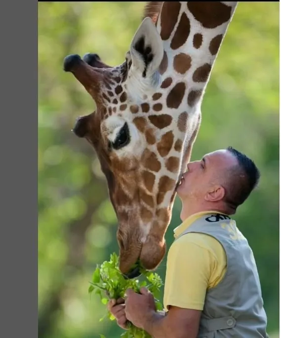 Sevgiden öte hayat bağı: