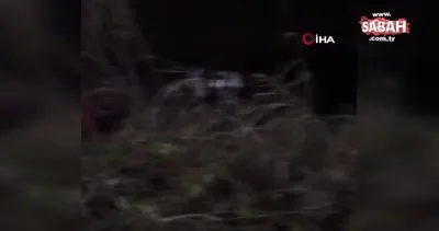Sakarya’da çanta içerisinde et ve kemik parçaları bulundu | Video