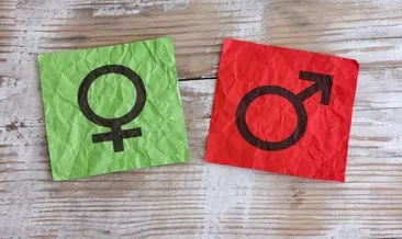 cinsel organlar gormek ne anlama gelir