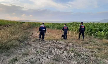 Jandarma’dan kenevir denetimi