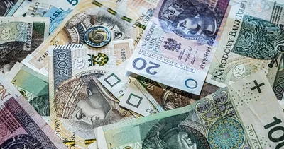 Bu paralar bildiğiniz gibi değil! Kimi süte, kimi bakıra bağlı... İşte değeri farklı ürünlere göre değişen paralar...