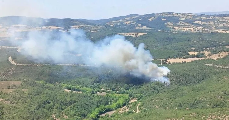 Balıkesir’de ormanlık alanda yangın çıktı