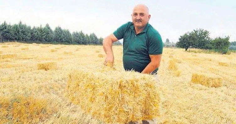 Bizi ayakta tutan vatan aşkı