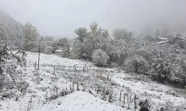 Erzincan ve Artvin’de okullar tatil mi? 13 Şubat Perşembe Erzincan ve Artvin için Valilik kar tatili açıklaması geldi mi?