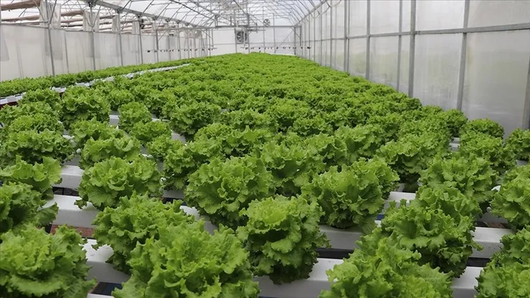 Bakanlık çiftçiler için yeni sistemi hayata geçiriyor! Tarih verildi