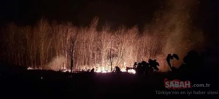 Karadeniz'de 26 noktada orman yangını: 5 ev kül oldu, tarım arazileri zarar gördü