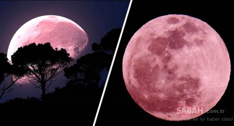 Pembe Ay ne zaman, saat kaçta çıkacak ve Türkiye’den görülecek mi? 26 Nisan 2021 Süper Pembe Ay nedir, ne anlama geliyor ve etkileri nasıl?