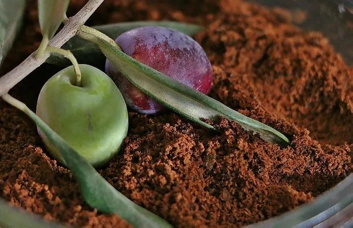 zeytin yaprağı kahvesi ile ilgili görsel sonucu