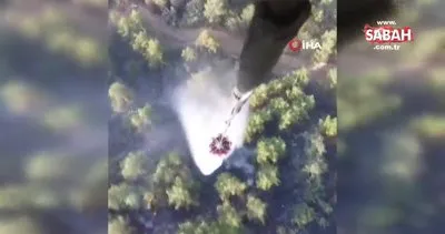 Kuyucak’ta ormanlık alanda çıkan yangın kontrol altına alındı | Video