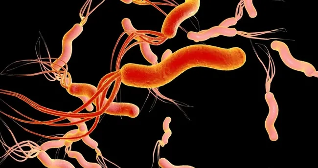 Bilim insanları kansere neden olan bakteriyi tespit eden biyosensör geliştirdi