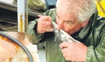 Ağlara takılan mersin balığı denize bırakıldı #kirklareli