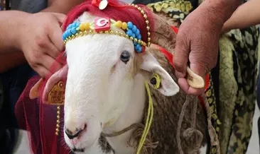 Kurban Duası Arapça Okunuşu ve Türkçe Anlamı: Kurban keserken hangi dua ve sureler okunur, nasıl tekbir getirilir?