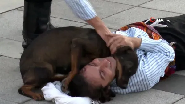 Kocaeli'de 30 Ağustos'ta yürekleri ısıtan görüntü... Sokak köpeği, yaralı sandığı tiyatro oyuncusundan ayrılmak istemedi | Video