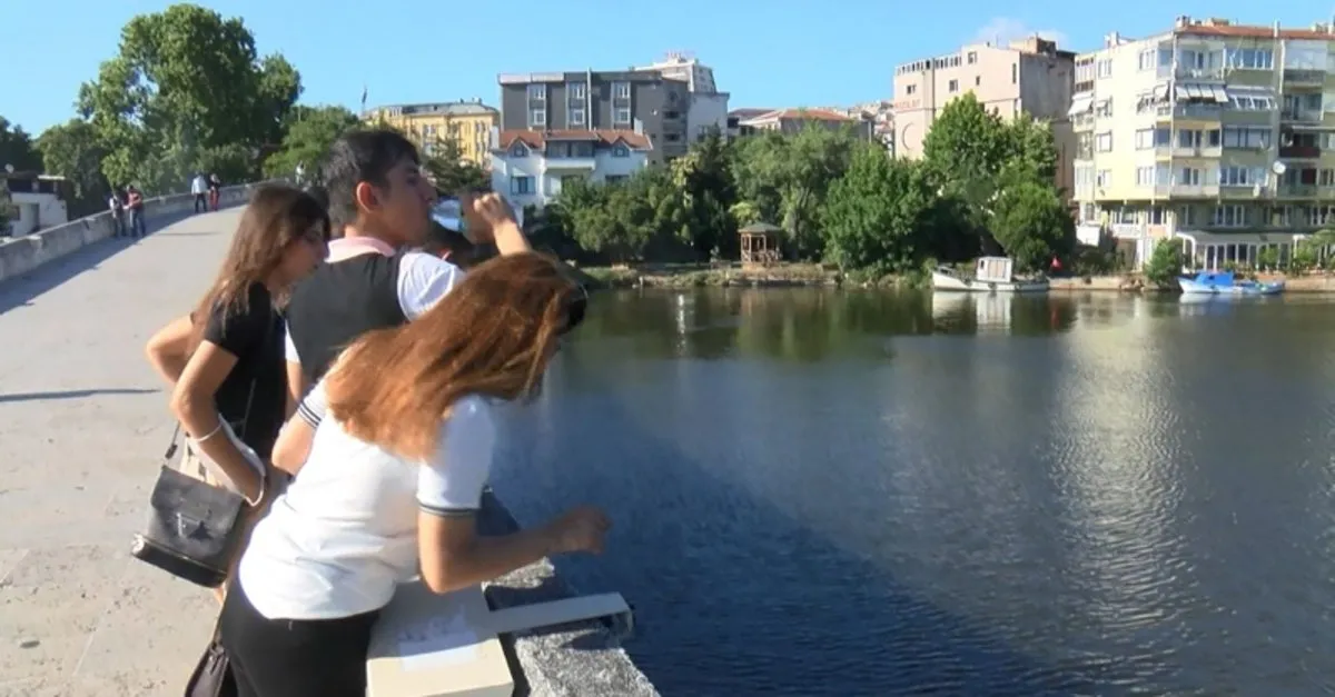 kucukcekmece golu nde olu baliklar