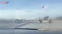 Deve kuşunu trafikte gören vatandaşın şaşkınlığı gülümsetti | Video
