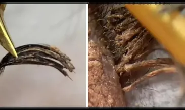 Buna bakmak bile gözlerinizi sulandıracak! Şimdiye kadar görebileceğiniz en korkunç kirpik işlemi: Uzmanlar bile şokta