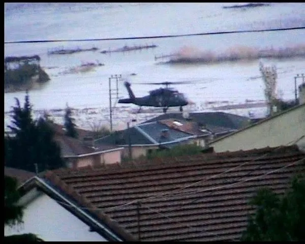Kumbağ sular altında