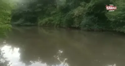 Riva Deresi ölüyor! İBB Başkanı İmamoğlu sorunu çözeceklerini söylemişti... | Video