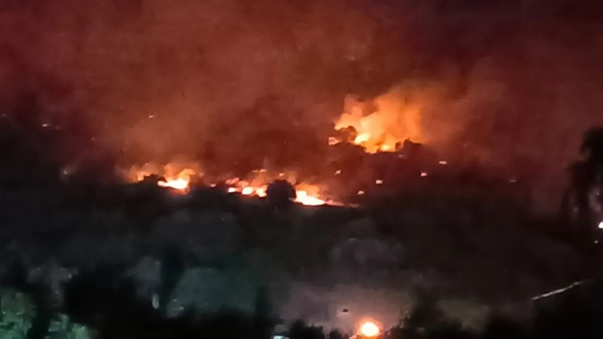 Dikili'de makilik alandaki yangın ormana sıçradı! İzmir-Çanakkale yolu ulaşıma kapandı