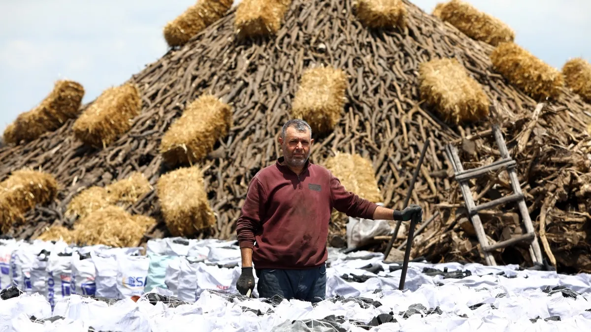 Mangal Kömürünün Hikayesi: 30 Günlük Emek