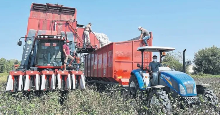 Beyaz altında hasat zamanı