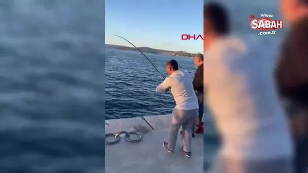 Beykoz'da oltasına yavru köpek balığı takıldı | Video