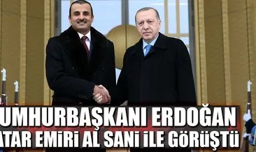 Cumhurbaşkanı Erdoğan Al Sani ile görüştü