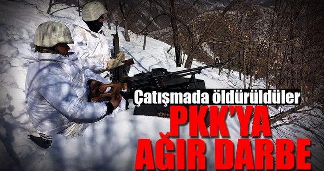 Bitlis’te terör örgütüne ağır darbe